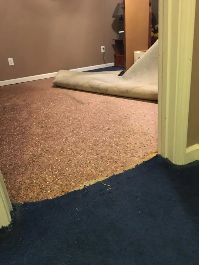 Carpet pad removal revealing water damage during Water Mitigation Services in Tea