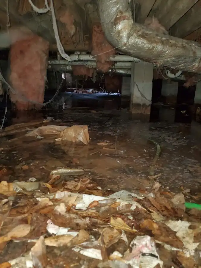 Crawl space flood assessment for Commercial Water Damage Restoration in Tea