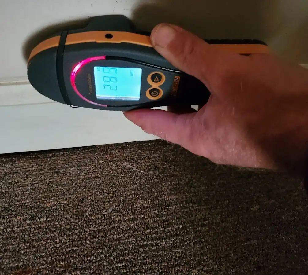 Moisture detection at baseboard during Sewage Cleanup & Sanitation in Tea